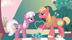 My Little Pony: Дружба – це диво 2 сезон 17 серія