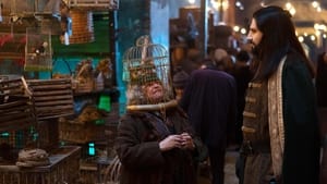 Чим ми займаємося в тінях 4 сезон 4 серія
