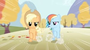 My Little Pony: Дружба – це диво 1 сезон 13 серія