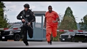 S.W.A.T.: В облозі