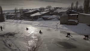 Про траву, що засихає