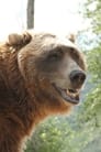 Bart the Bear isThe Kodiak Bear