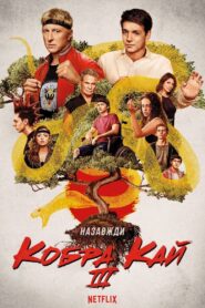 Кобра Кай: 3 Сезон